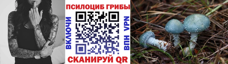 что такое наркотик  Вологда  Псилоцибиновые грибы мицелий 